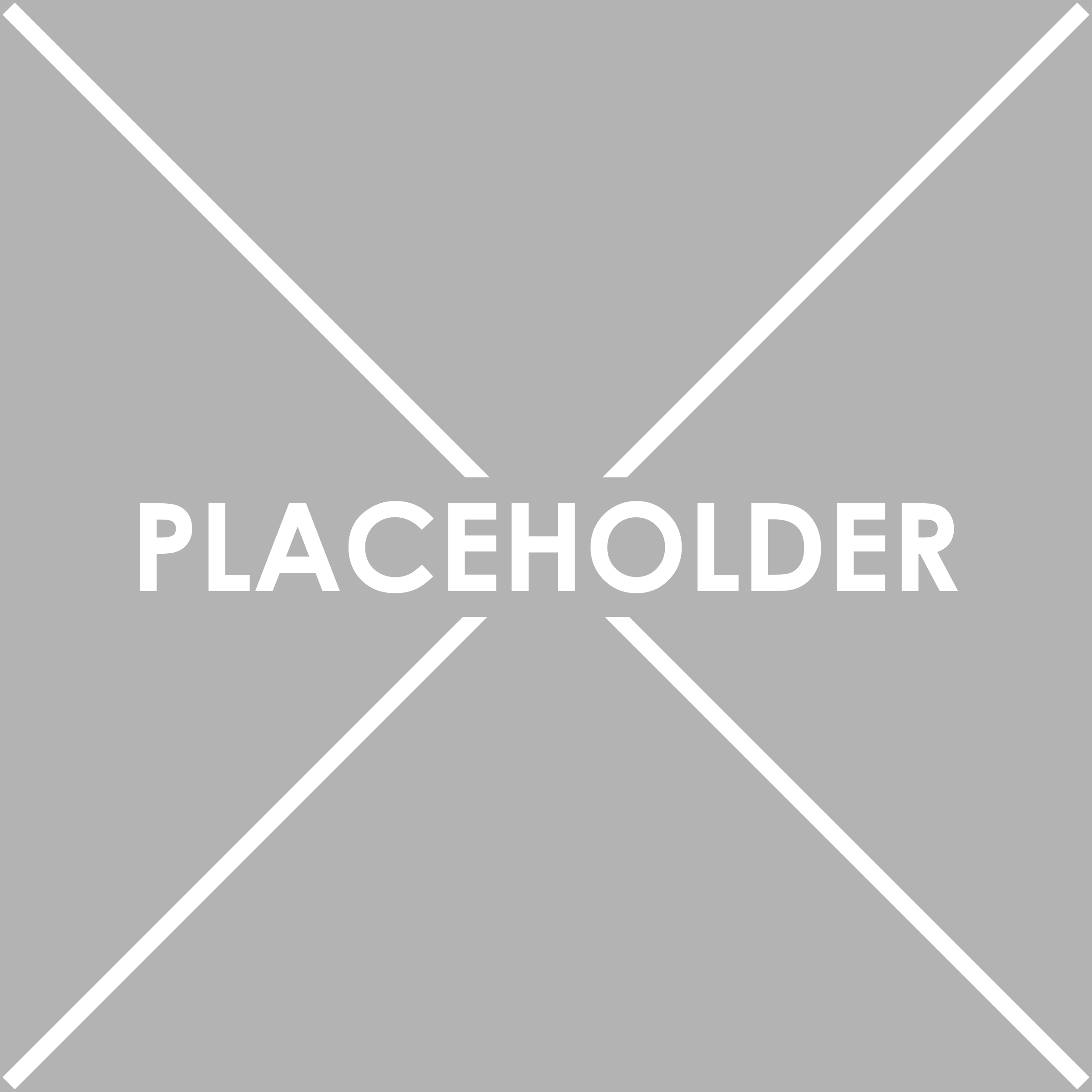 Placeholder - Copy